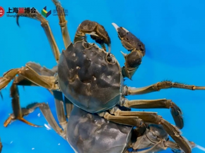 行业资讯｜中国蟹产业生产与贸易情况分析